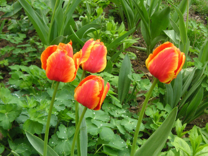 2184015820075666569bEtNXP_fs