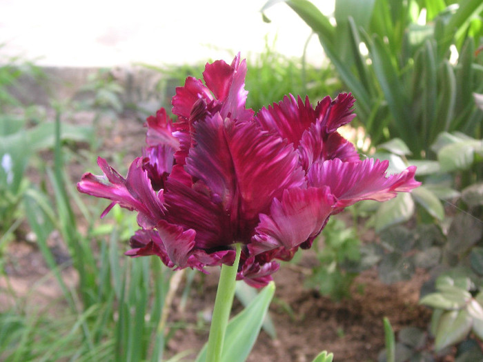 2201407350075666569FSePZh_fs