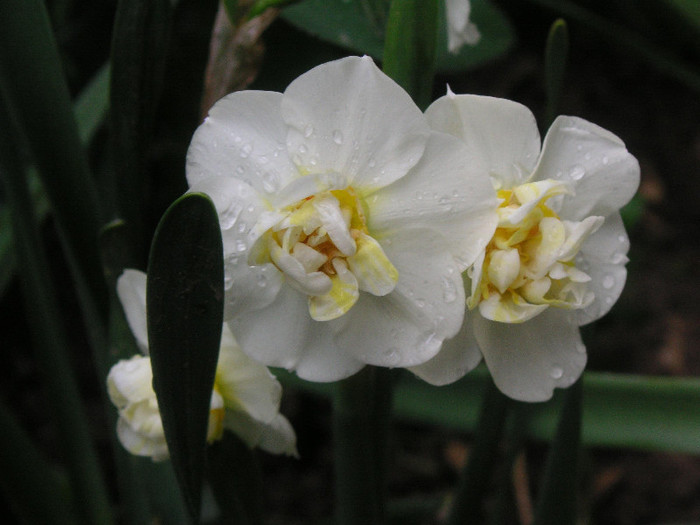 2204995400075666569bQVpEd_fs