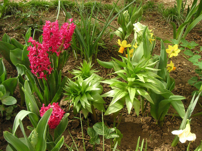 2208330680075666569KwFgPq_fs