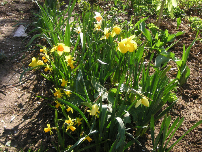 2212368180075666569soatRl_fs