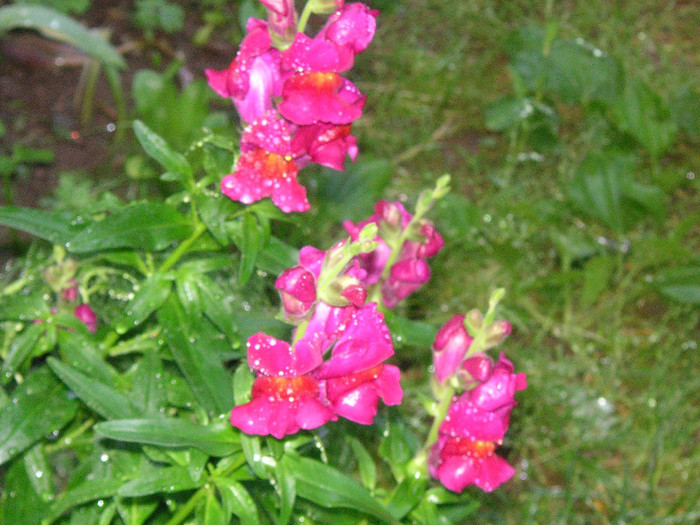 2215806360075666569hZrORn_fs