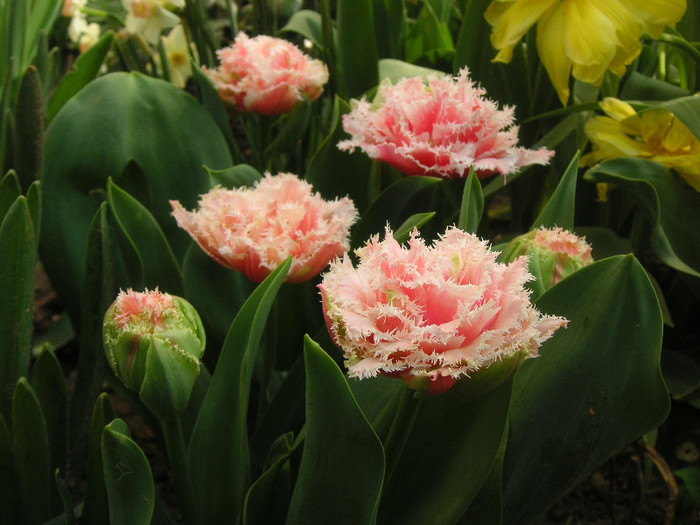 2218675210075666569Hitwnb_fs