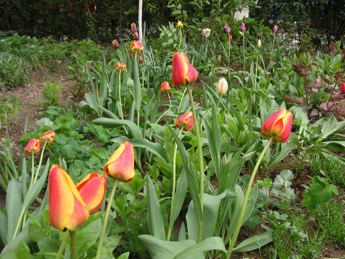 2219003670075666569QdIHaZ_fs