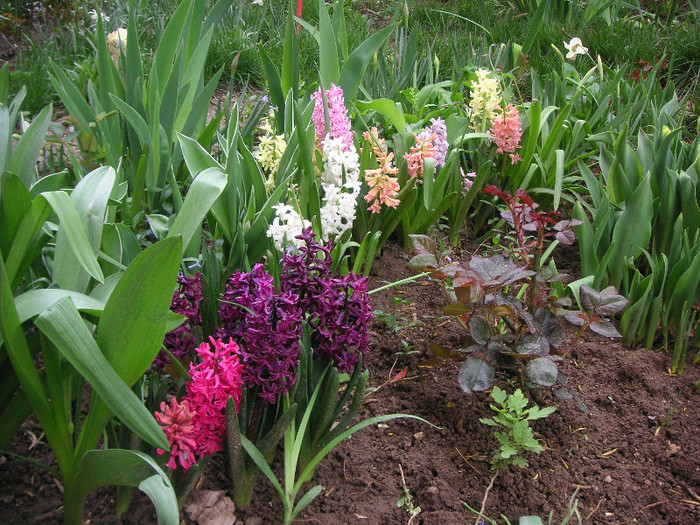 2220984130075666569XypOVD_fs