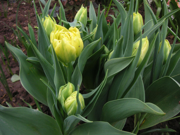 2230687330075666569onaKjo_fs