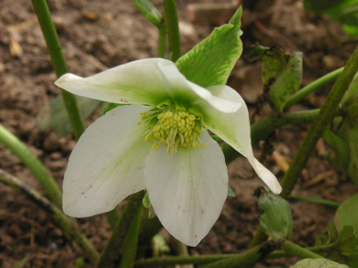 2233496690075666569QxYNne_fs