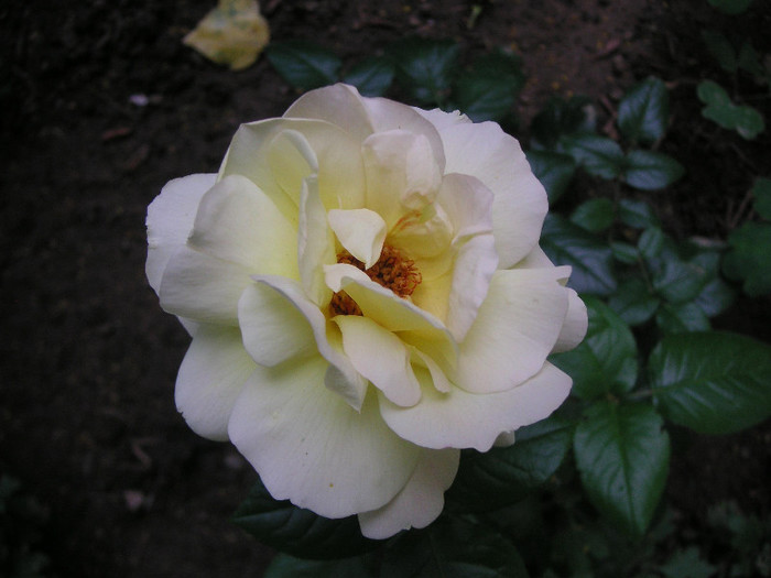 2237363250075666569ipUTIJ_fs