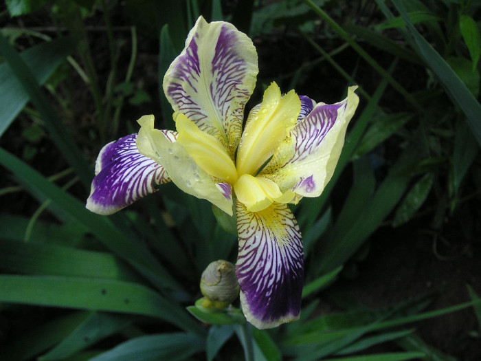 2247667640075666569QMOfBq_fs