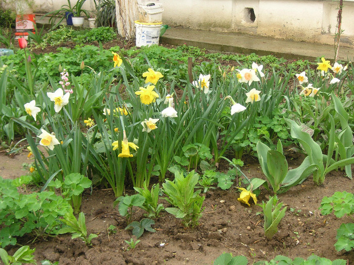 2251275210075666569MHTojD_fs