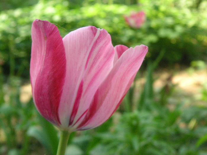 2271817580075666569jEsexL_fs