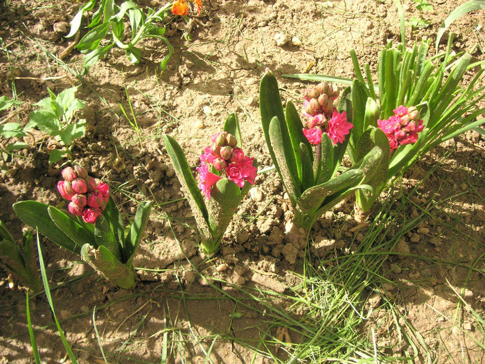 2272717270075666569WQBNpM_fs