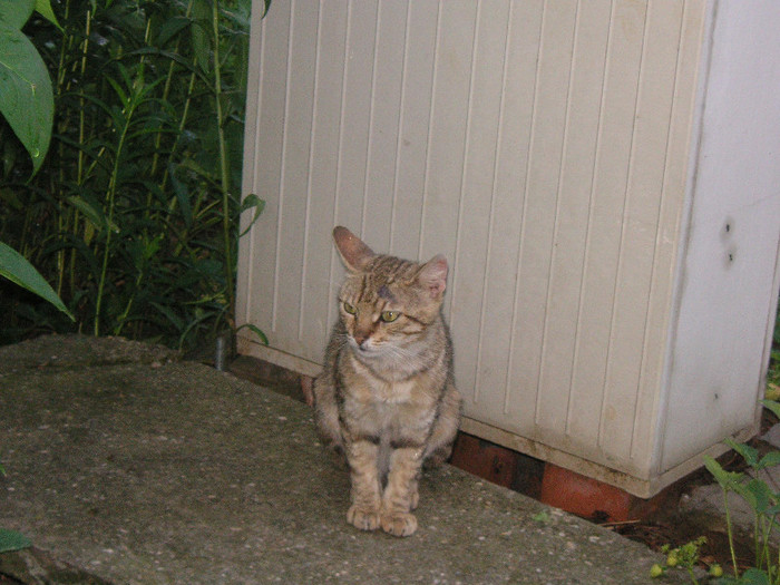 2286504000075666569fzoPZj_fs