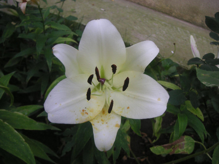 2309251230075666569eMlfrx_fs