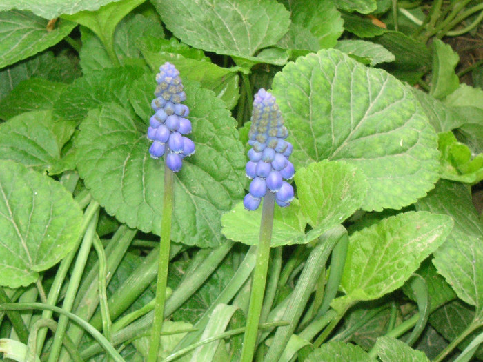 2309490350075666569RqJrGG_fs