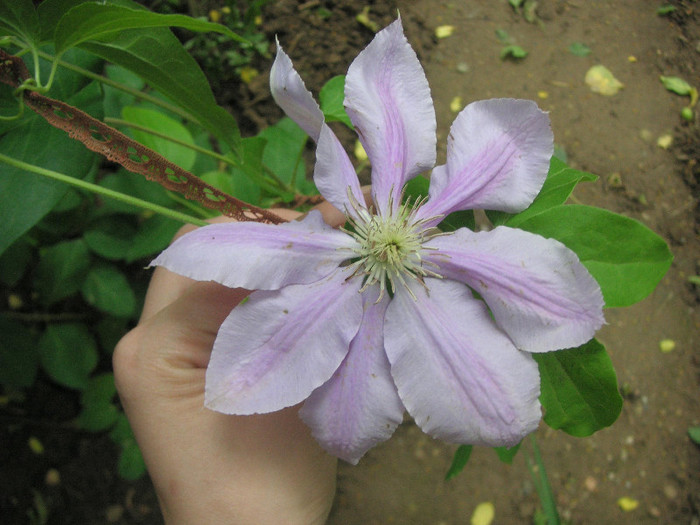 2317246390075666569coRjcA_fs