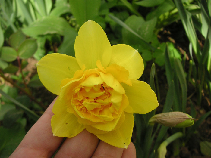 2319533850075666569PDVeaE_fs