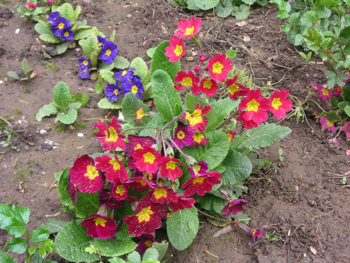 2326182120075666569yRRhLM_fs