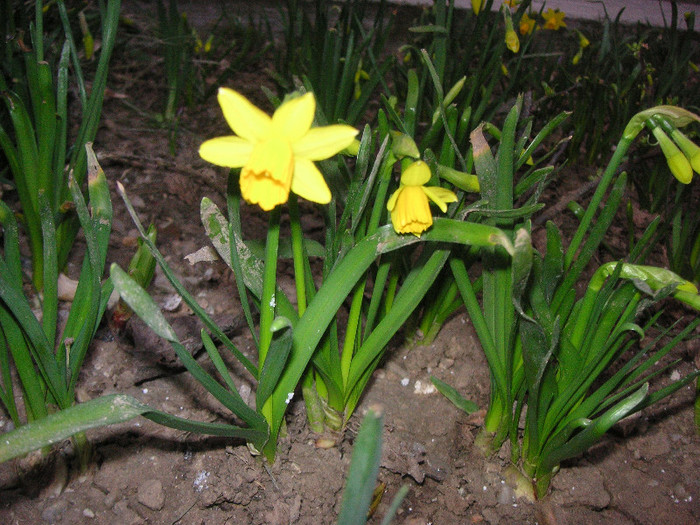 2331452440075666569fHaZJZ_fs