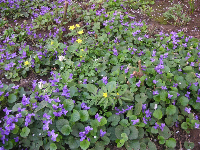 2340076840075666569XkcKja_fs