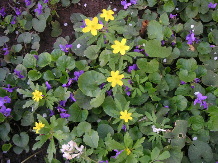 2347847870075666569FmAWFp_fs