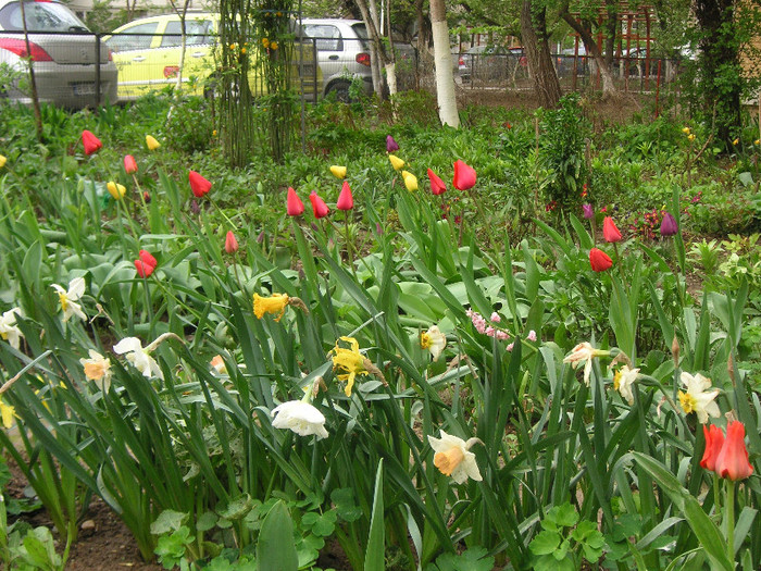 2348998870075666569wlIiXH_fs