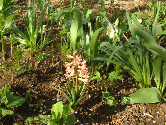 2350926660075666569xmgaYW_fs