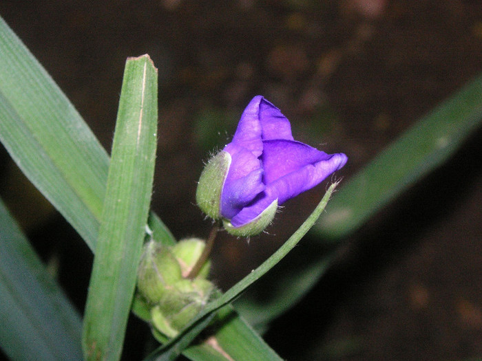 2367247670075666569WAeXVY_fs