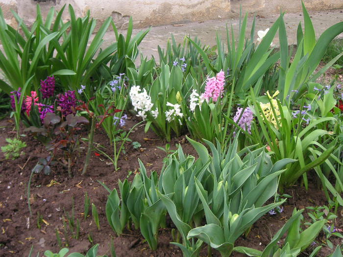 2432202740075666569ZfKrOd_fs