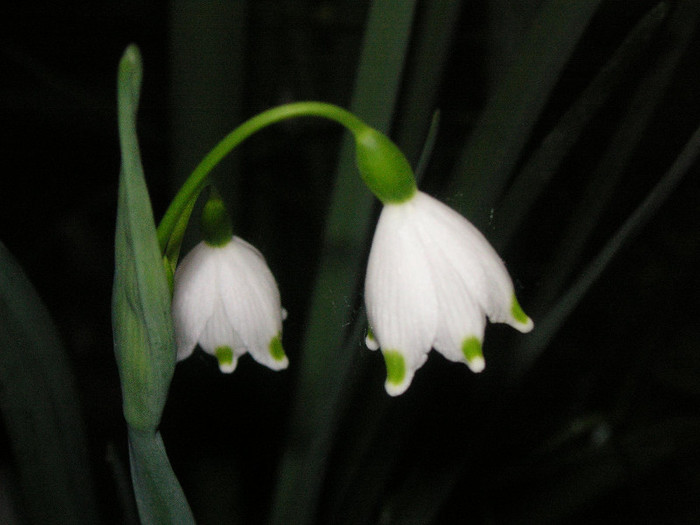 2440714220075666569HUvkXb_fs