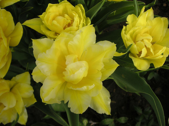 2471315160075666569AfthQK_fs