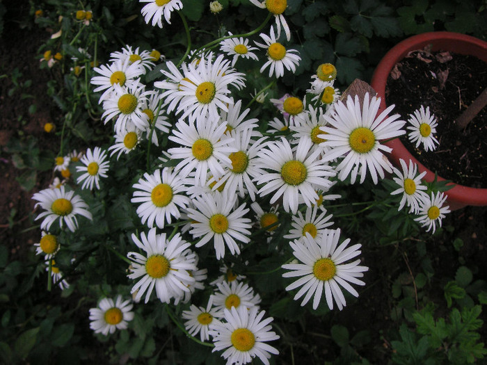 2486148300075666569lmHObB_fs