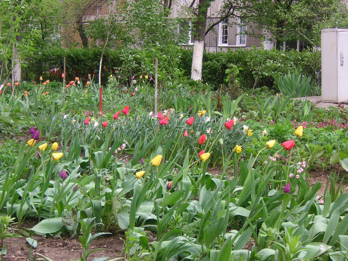 2491972690075666569mRBNeR_fs