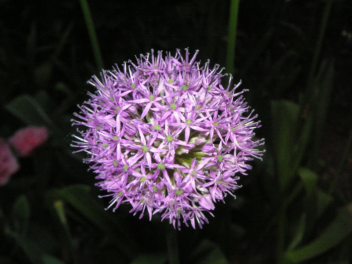 2499660370075666569YxBTwb_fs