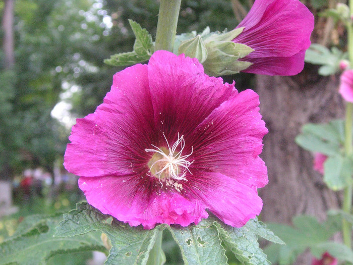 2503834530075666569qNNCqm_fs