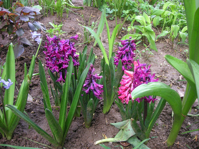 2514661910075666569hLBvDe_fs