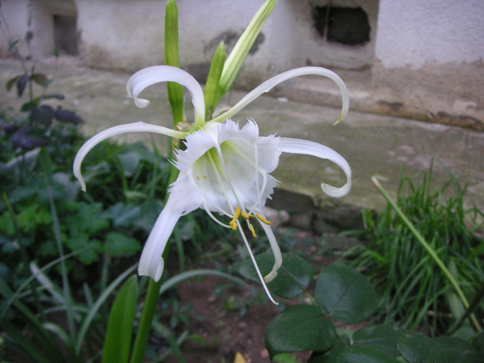 2534496310075666569HmxAgZ_fs