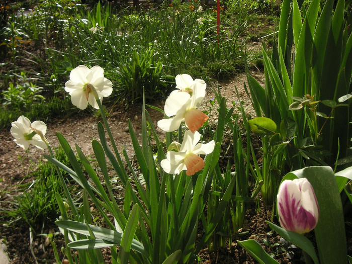 2535139670075666569eOivnh_fs