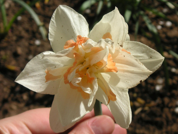 2544739710075666569WOiWbQ_fs