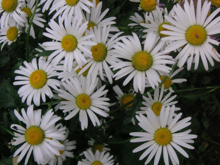 2553301520075666569wvktNK_fs