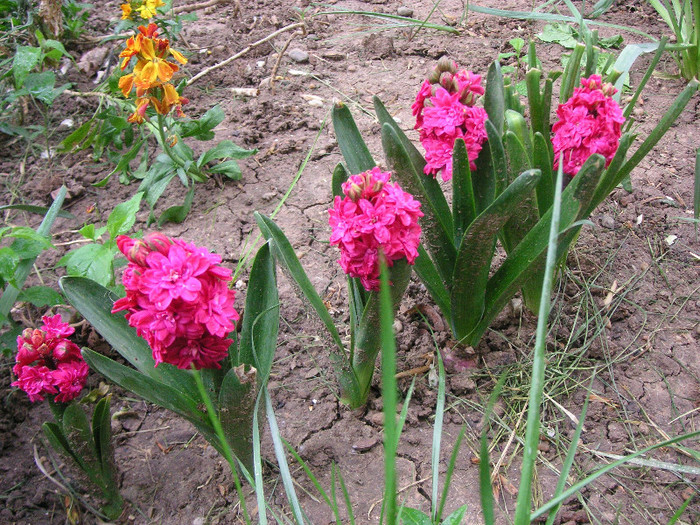 2566831830075666569iEyzQt_fs