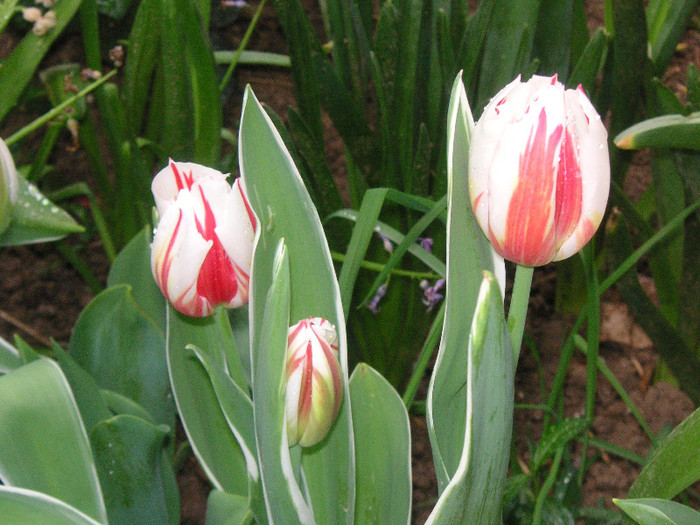 2582769490075666569juLBnJ_fs