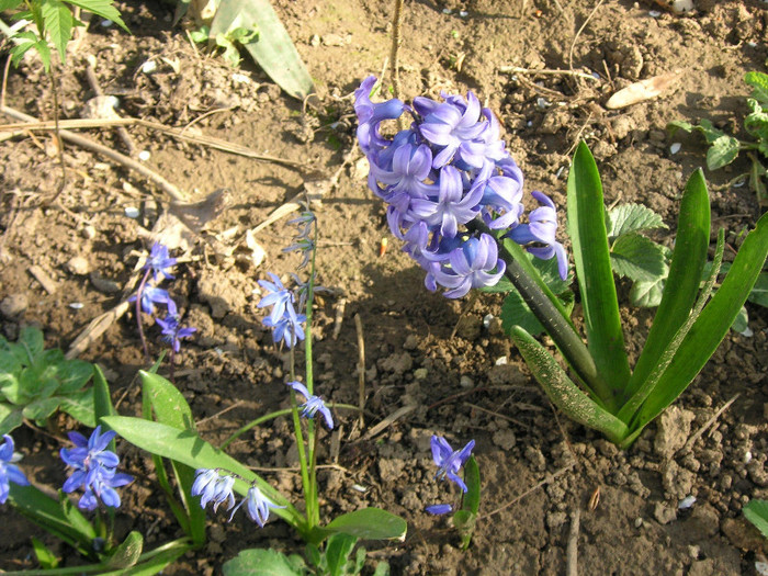 2583098570075666569UbdLxC_fs