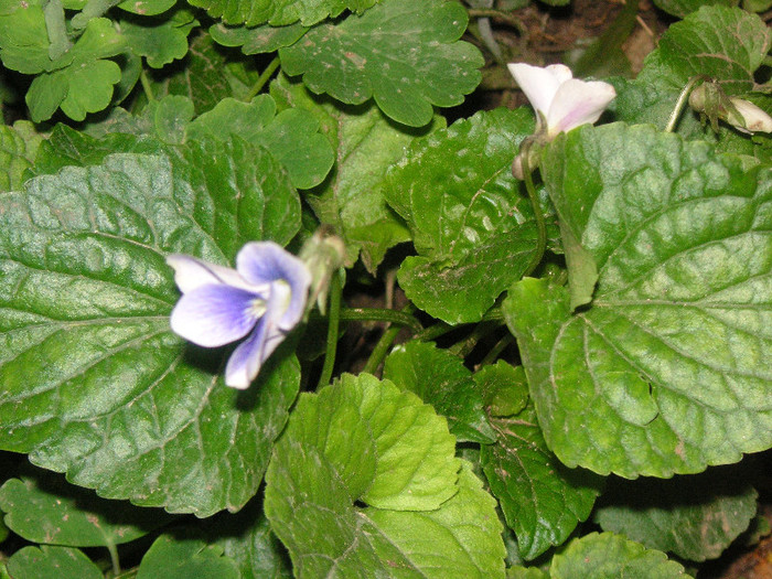 2588505040075666569CQiTPb_fs