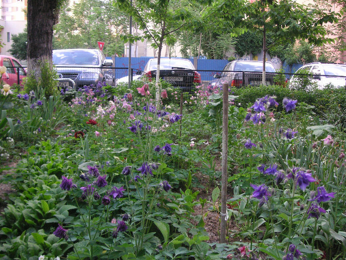 2594900510075666569geZMuQ_fs