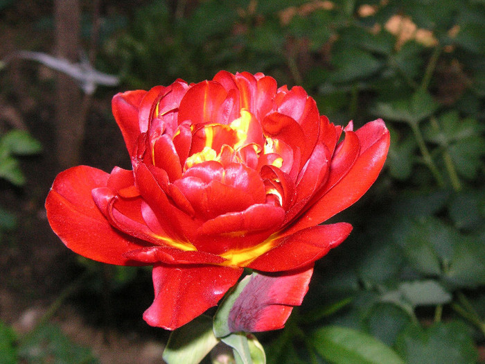 2595347030075666569bhZhHi_fs