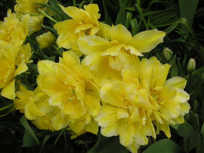 2608782580075666569HFkZQr_fs