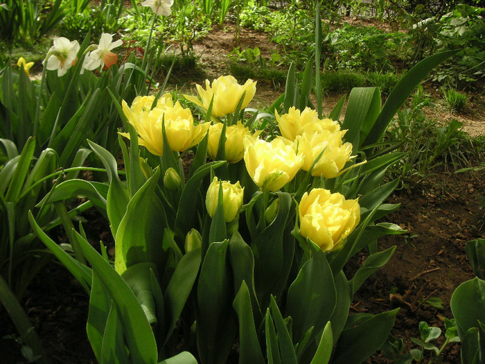 2623630850075666569qmsVqC_fs