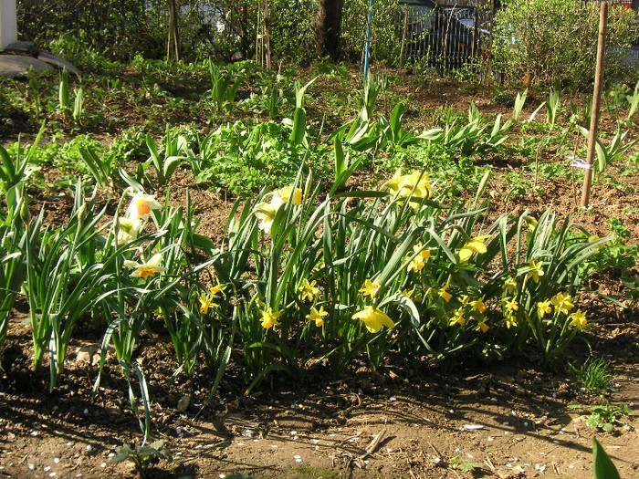 2668166510075666569wRaymi_fs