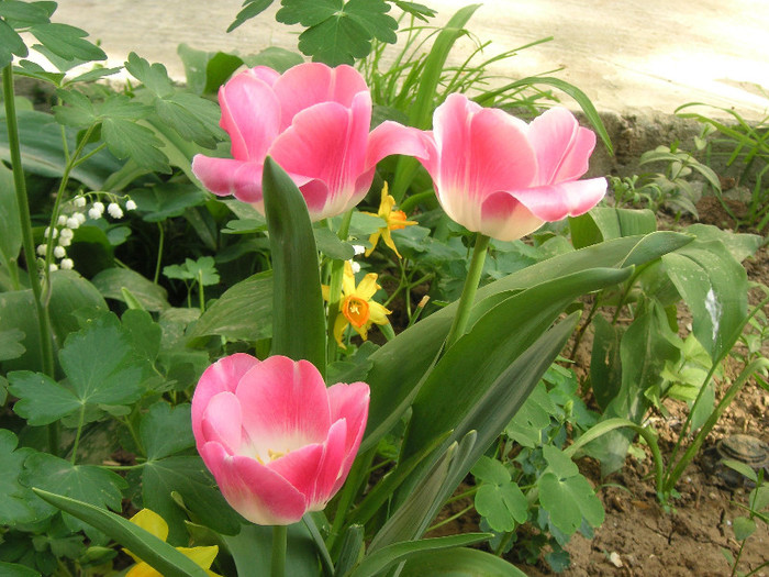 2670248100075666569vwbzuj_fs